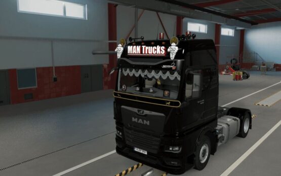 Lightbox for MAN TGX 2020 V2.0