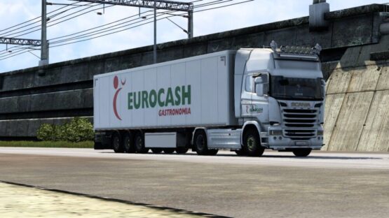 euro cash trailer paintjob