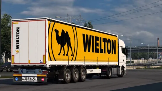 Wielton skin