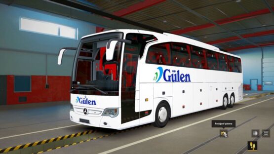 Travego 17 Gülen Truizm Skin