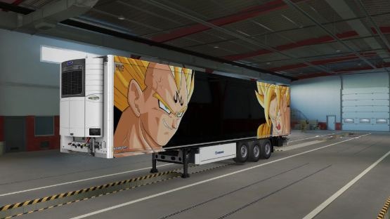 SKIN DRAGON BALL