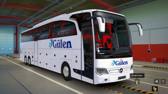 Travego 17 Gülen Truizm Skin